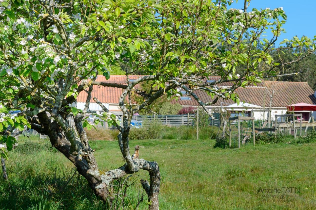 Bed and Breakfast La Chevrerie Vaire Экстерьер фото
